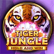 Giải quyết vấn đề nhanh chóng 97win link vào