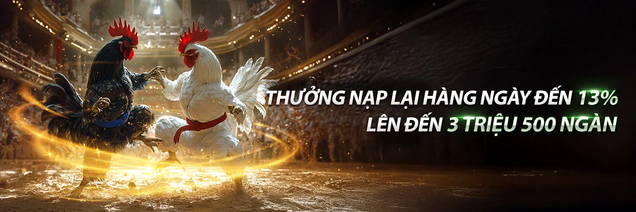 Sân đấu đá gà kịch tính tại 97win