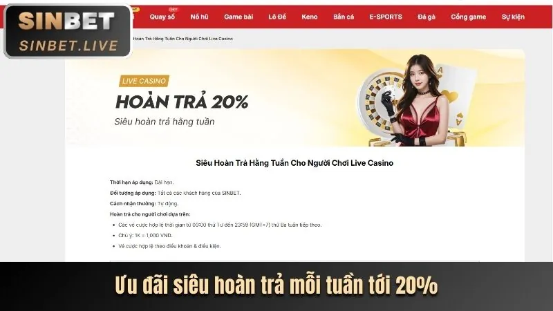 Trải nghiệm sòng bạc trực tiếp 97win